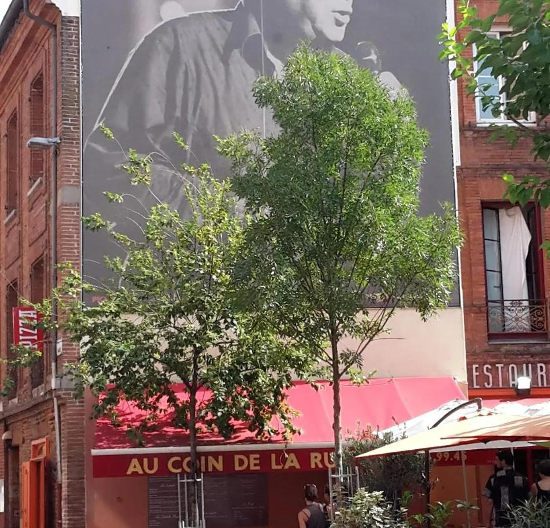Hotel Restaurant D'Occitanie Toulouse